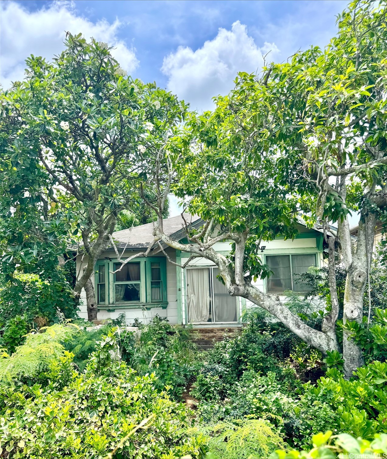1523 Leilani Street