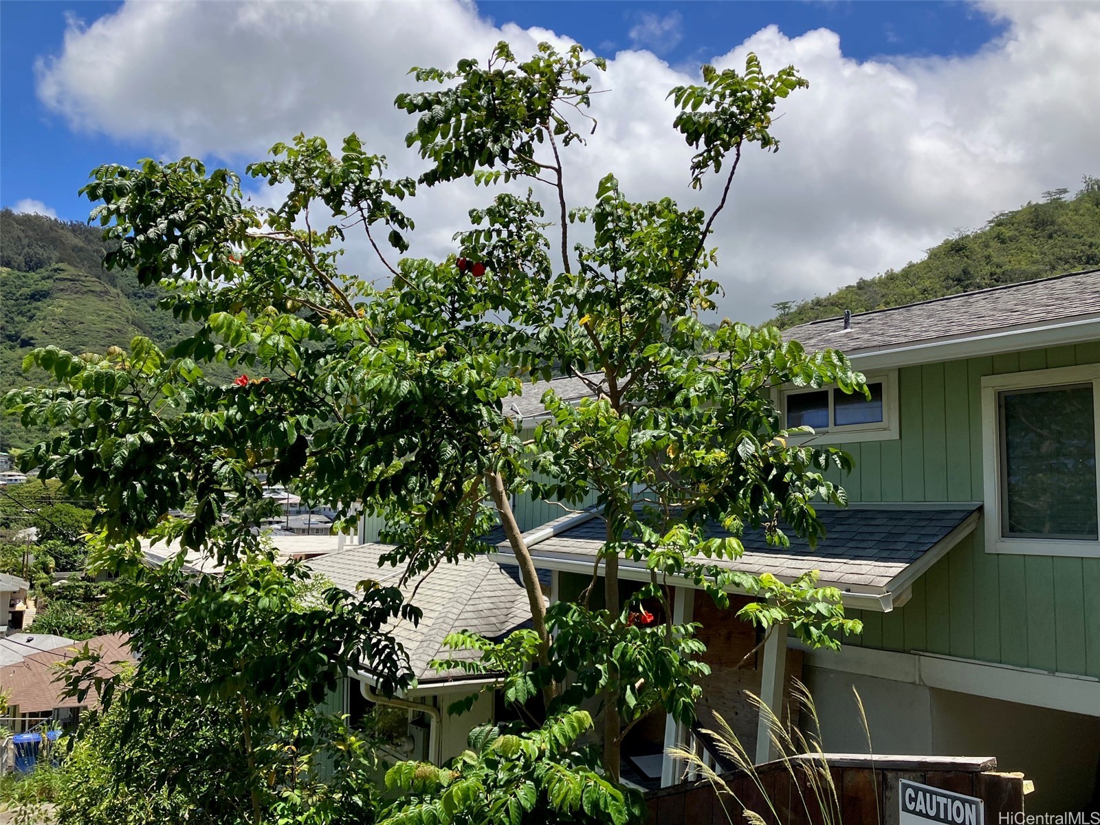 2296 Waiomao Road