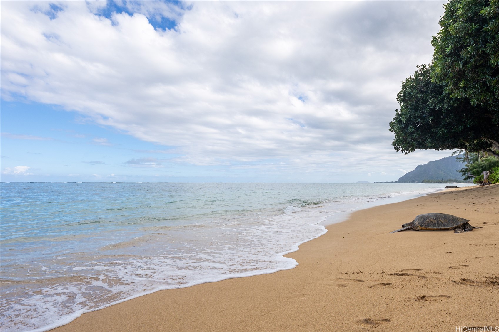 ハノハノ・ハイル