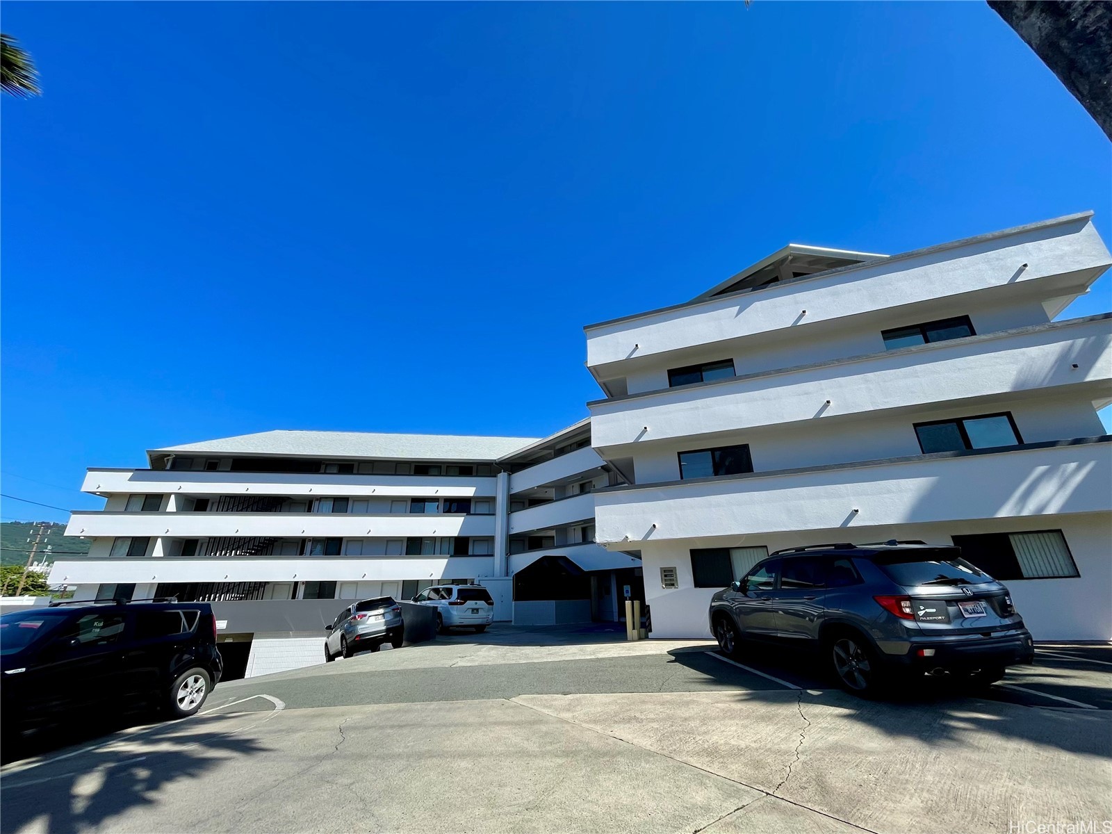 クーラヌイ・ヘイル