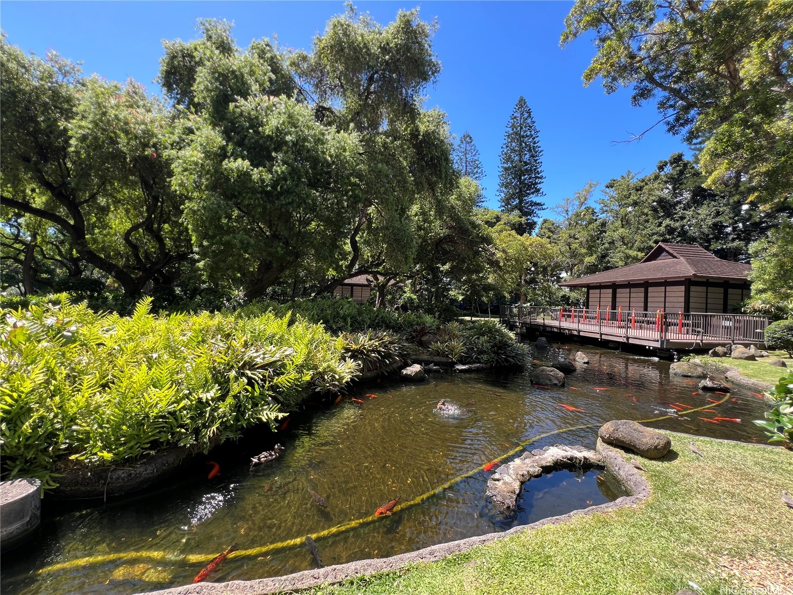 カカアコ・ダウンタウン | 1511 Nuuanu Avenue, Honolulu, HI 96817