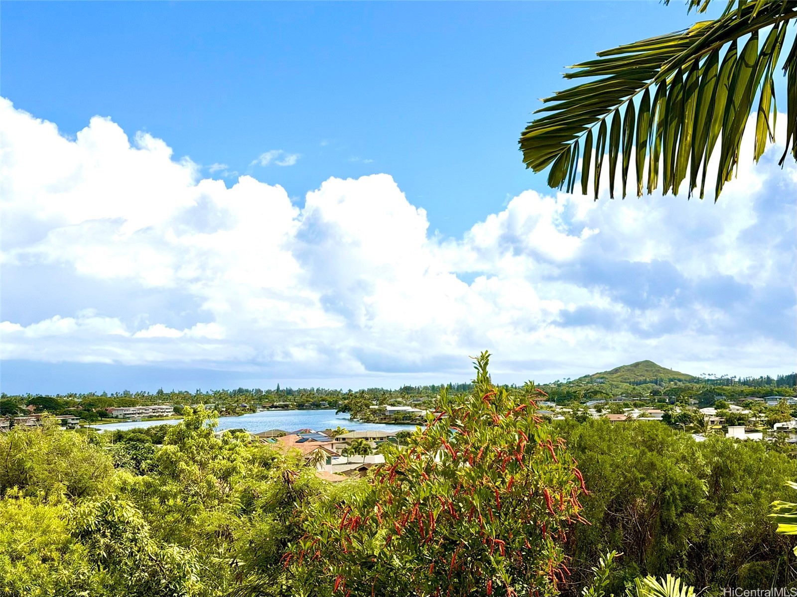11D号室